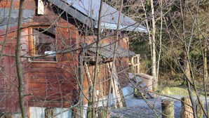 A rustic wooden cabin with a thatched roof, surrounded by trees and a gravel path. - Cozy Forest Chalet Escape (Waimes - Sourbrodt)