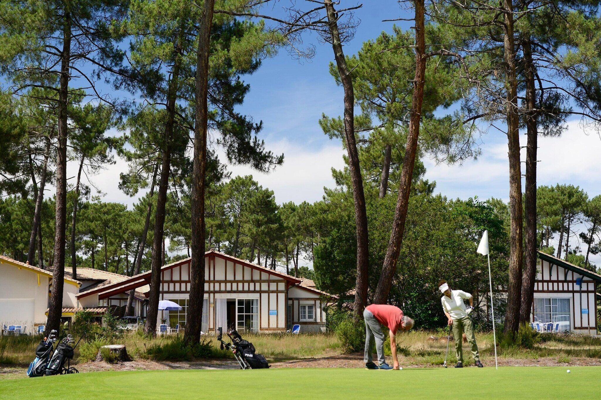 En golfbana med ett klubbhus, omgiven av höga tallar.