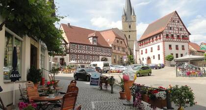 Rauhallinen huoneisto suuri puutarha Zeil am Mainissa Ala-Franconia