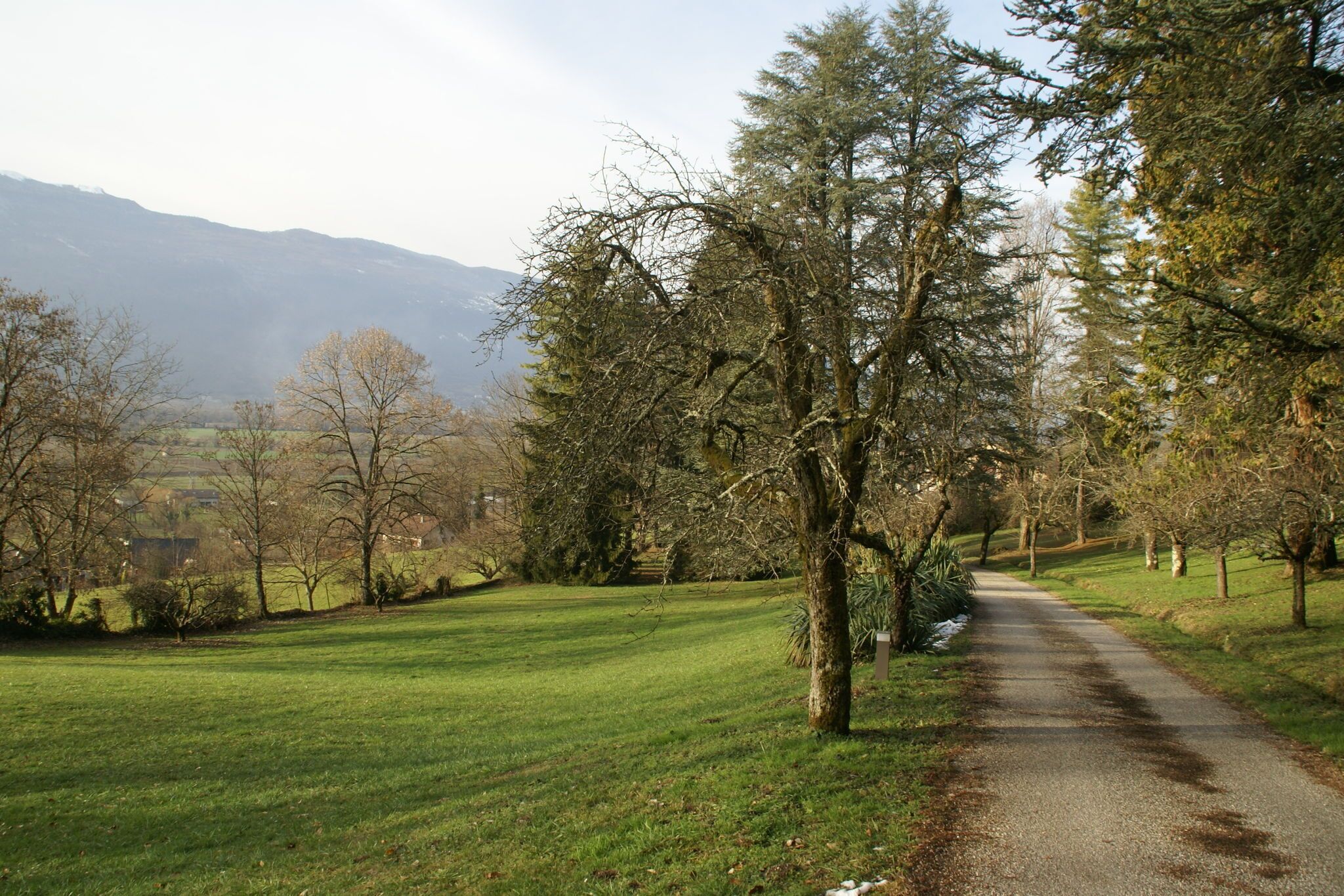 A rural pathway flanked by trees and grass, leading towards distant mountains.