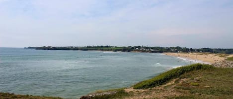 A coastal landscape with a beach, ocean, and a distant shoreline with buildings.