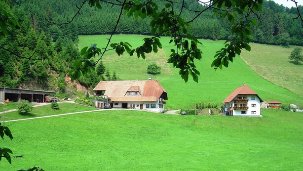 Un paisaje rural con dos casas, una de tejado rojo y otra de tejado blanco, rodeado de campos verdes y árboles.