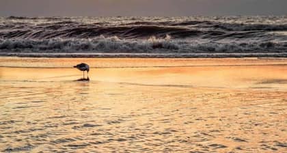 Bungalow en Hollande-Méridionale prÚs de la plage