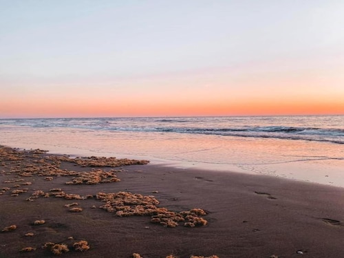 Bungalow en Hollande-Méridionale près de la plage