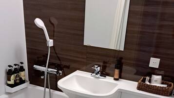 A modern bathroom with a white sink, a handheld showerhead, and a mirror above the sink.