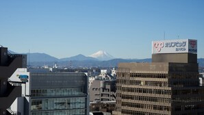 A cityscape with modern buildings, a prominent billboard, and a mountain in the background. - Tachikawa Regent Hotel (Tachikawa)
