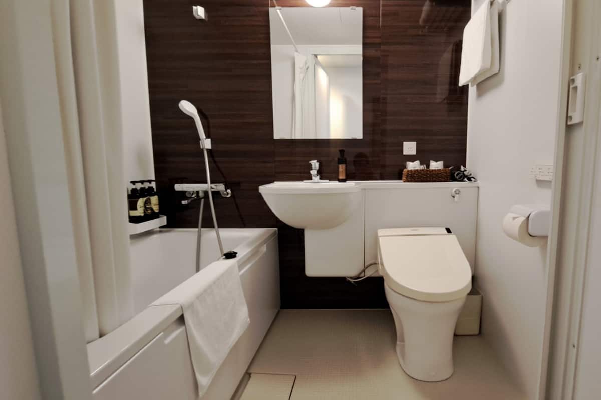 combined shower/bathtub, free toiletries, hair dryer, slippers