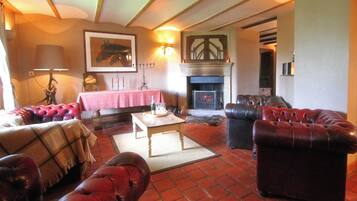 Cheminée, lecteur de DVD, table de tennis de table