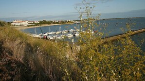 A coastal marina with boats docked, a building with a red roof, and a grassy foreground. - Apartment in France with Ocean Views (Fouras)