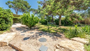 Un sendero en un jardín con piedras para pisar, rodeado de varios árboles y arbustos.