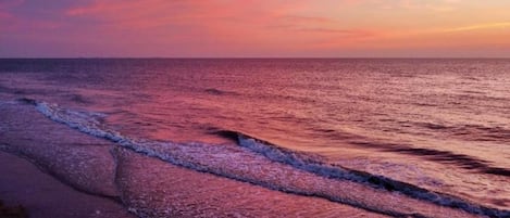 Nära stranden
