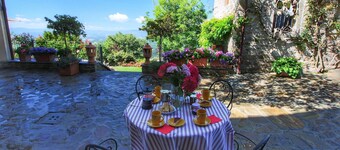 Rustikt bondehus i skoven