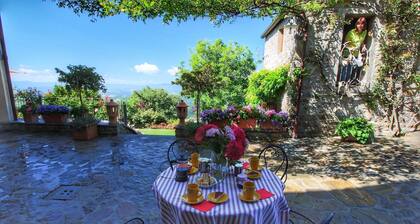 Rustic Farmhouse in Forest