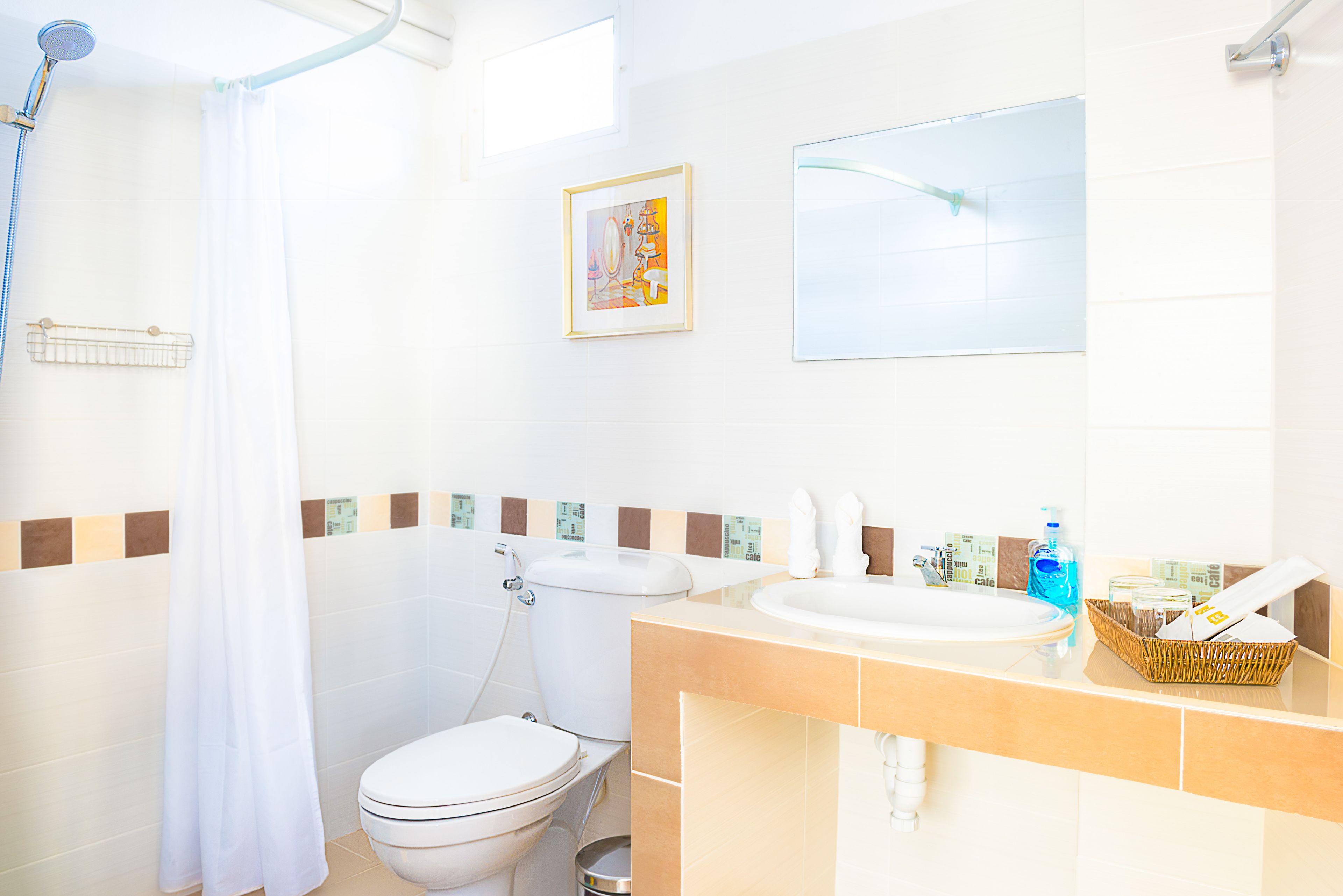 Shower, free toiletries, hair dryer, bidet