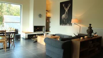 TV, fireplace, DVD player, ping pong