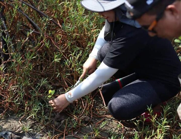 A person crouching and examining a plant in a natural setting.