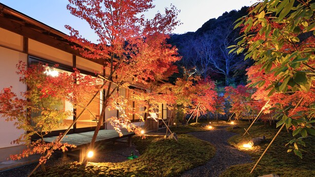 A traditional Japanese garden with a wooden pathway, rocks, and illuminated trees. - Machiya AOI KYOTO STAY AOI Suites at Nanzenji (Kyoto)