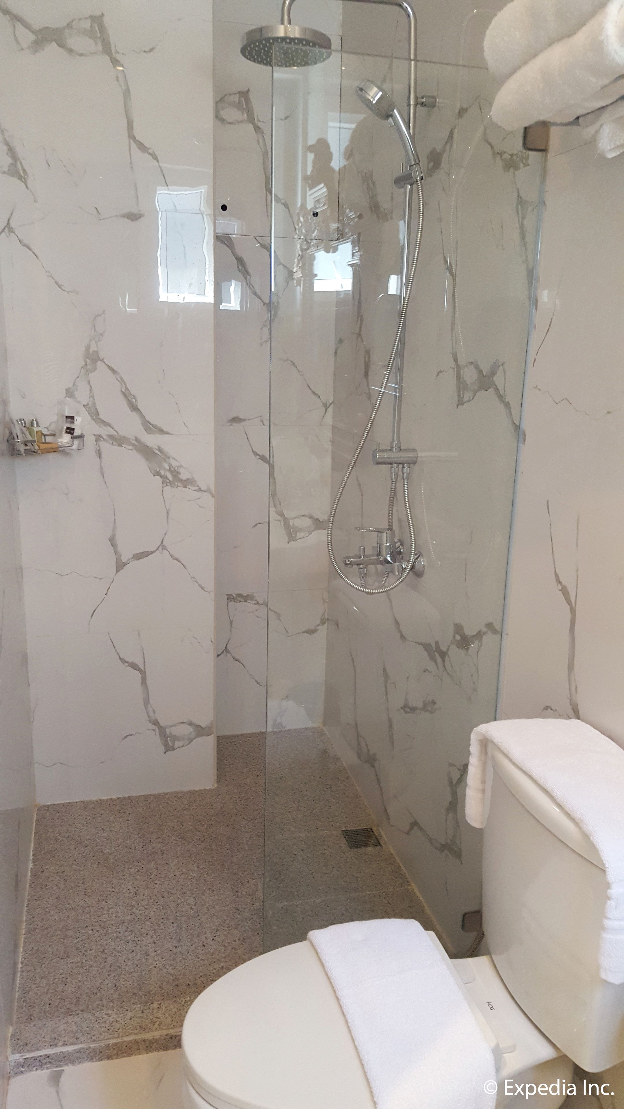 Un baño con ducha de vidrio, inodoro y pared de mármol.