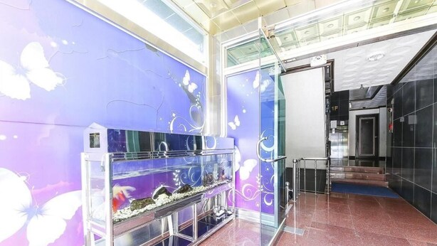 Un hall d’entrée moderne avec un grand aquarium, une rambarde en verre et un mur violet orné de motifs de papillons.