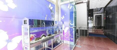 Mini-réfrigérateur, bouilloire électrique