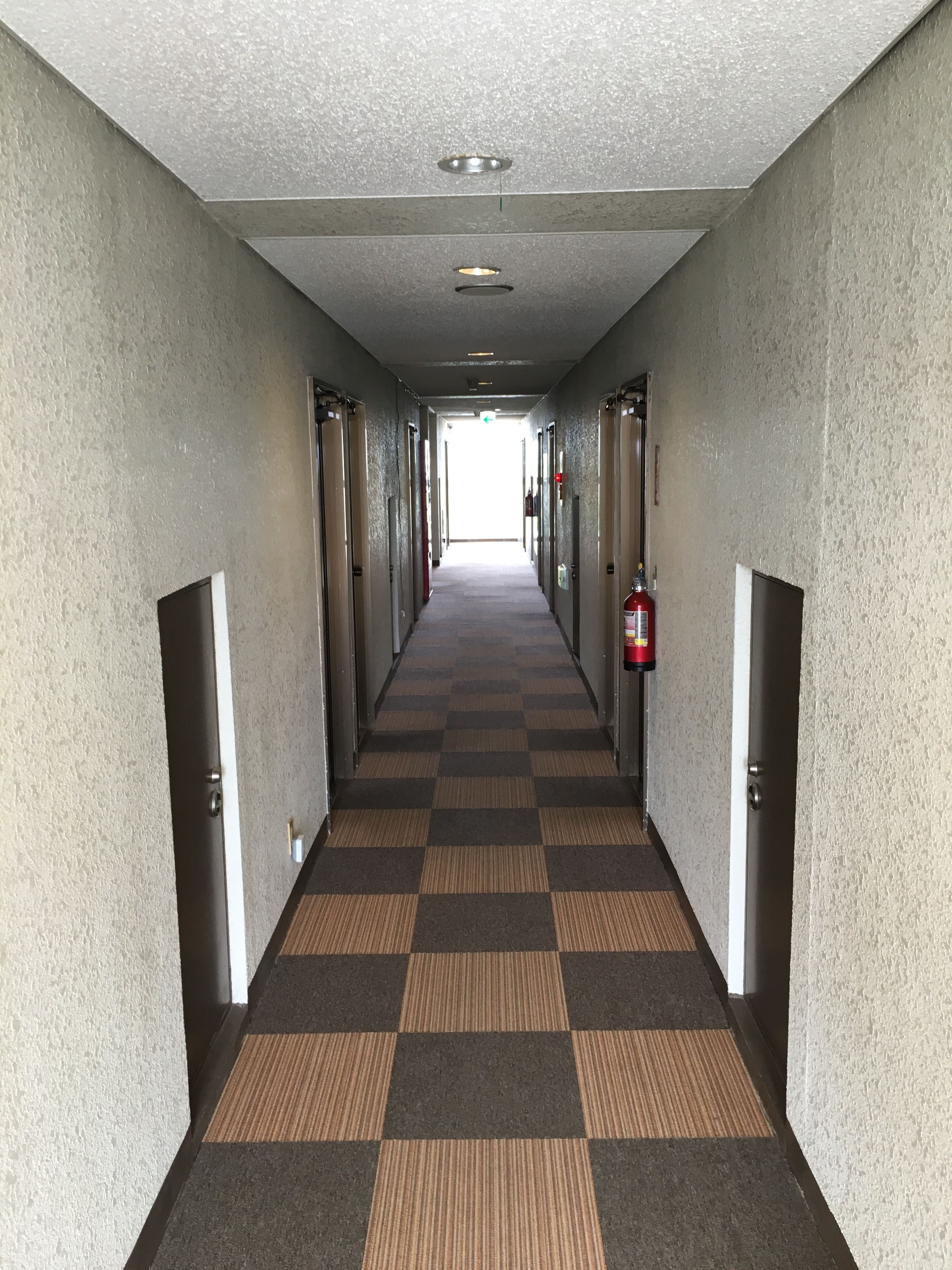 Un pasillo de hotel con alfombra a cuadros, puertas a ambos lados y un extintor en la pared derecha.