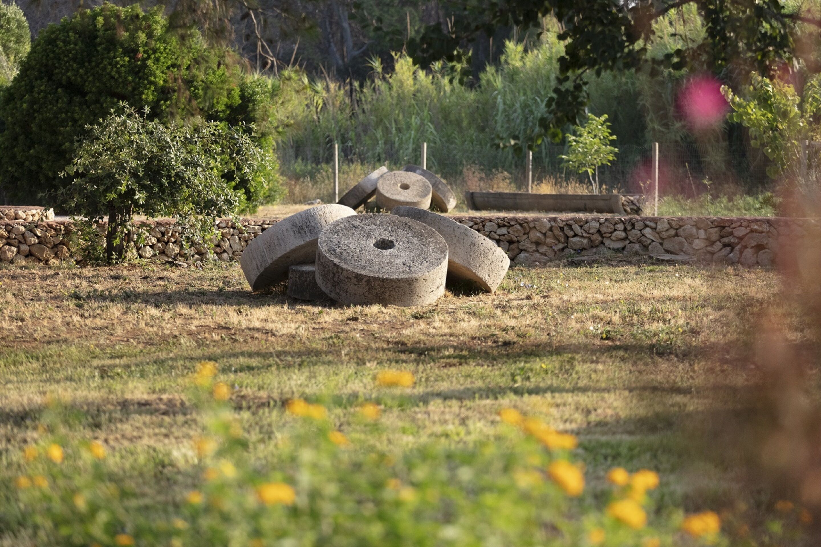 Foto - Masseria Mongiò dell'Elefante