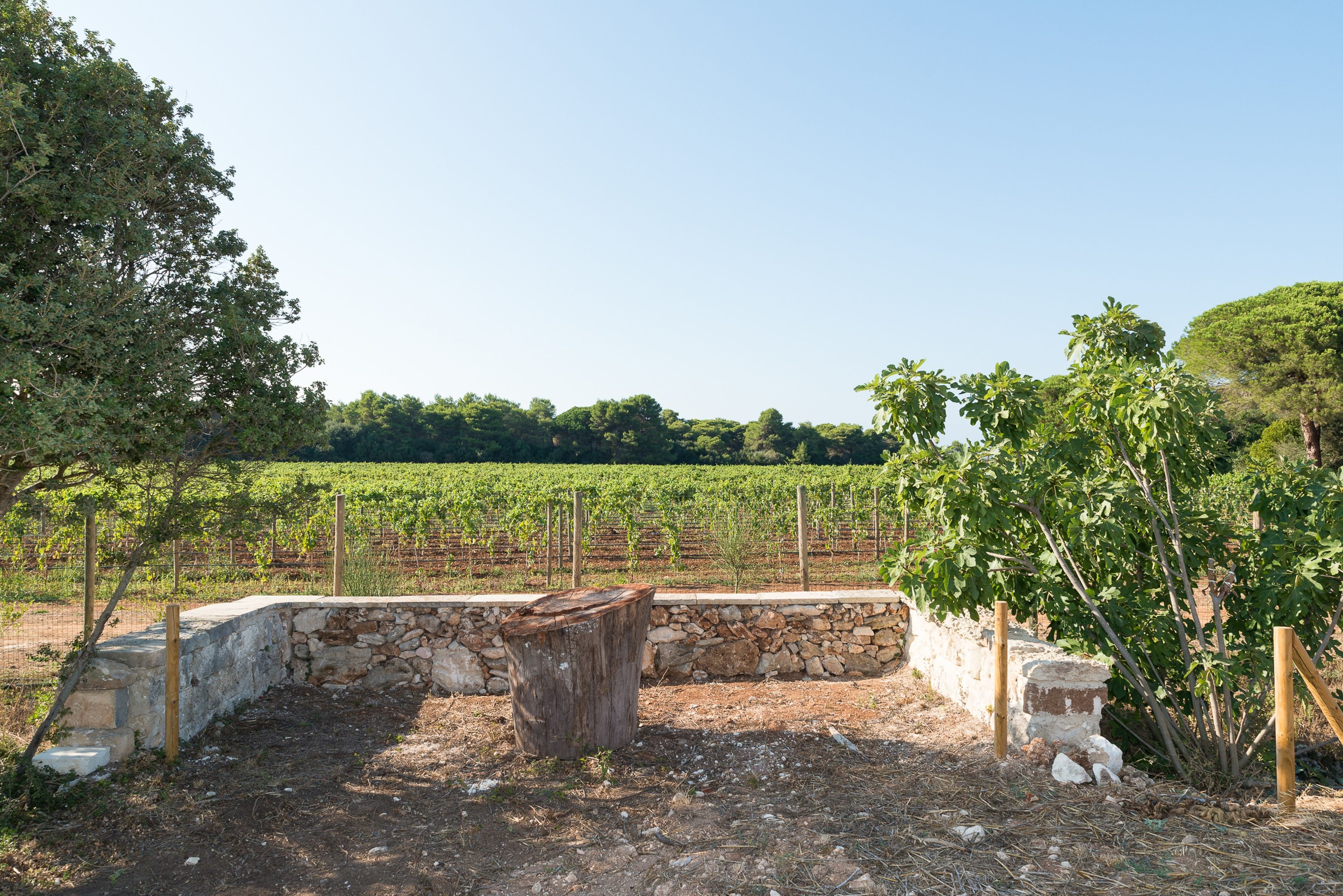 Foto - Masseria Mongiò dell'Elefante