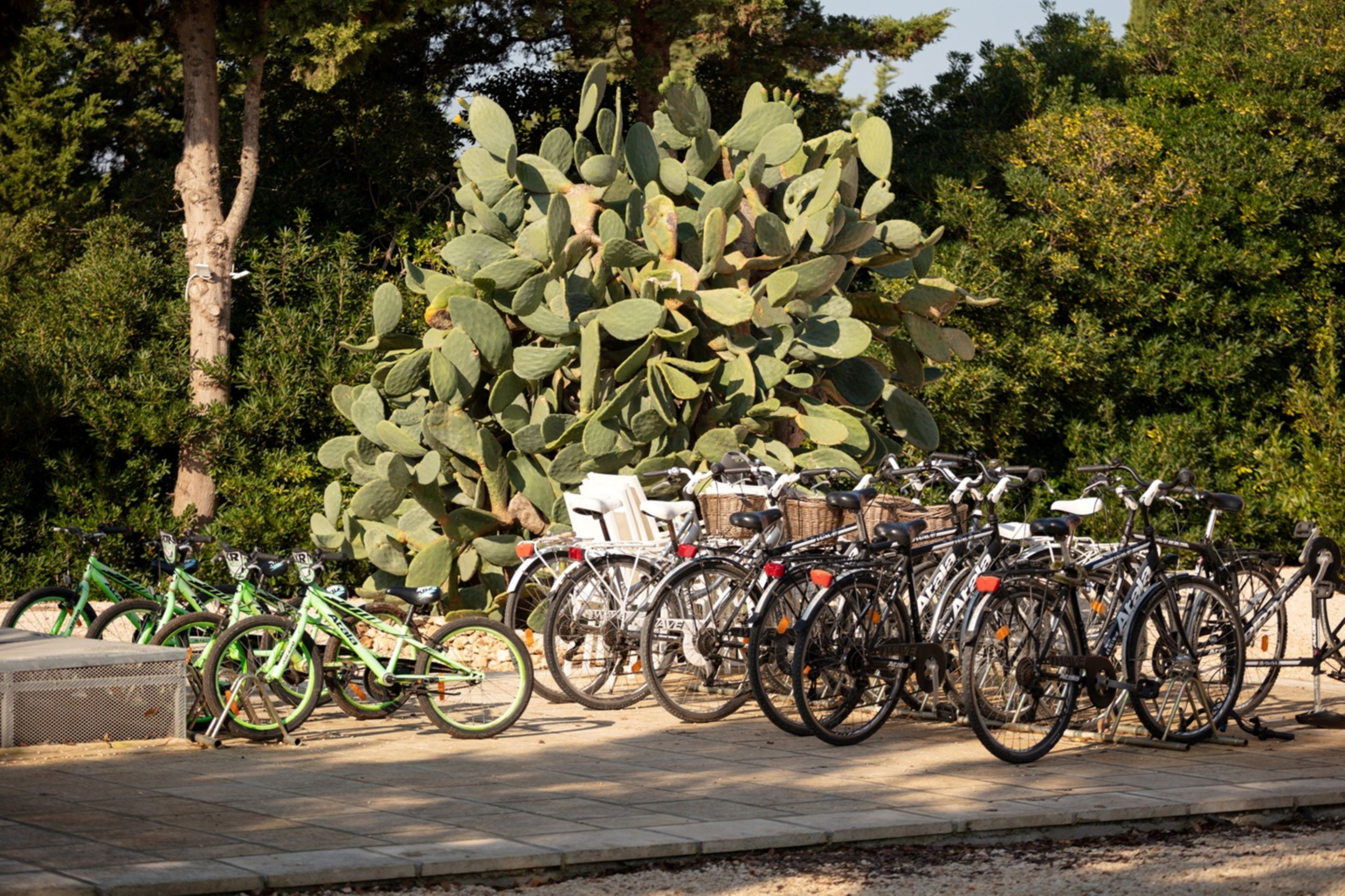 Foto - Masseria Mongiò dell'Elefante
