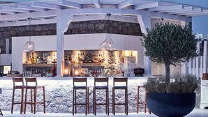 Zona de bar con pared de piedra de fondo, taburetes y una maceta grande con un árbol.