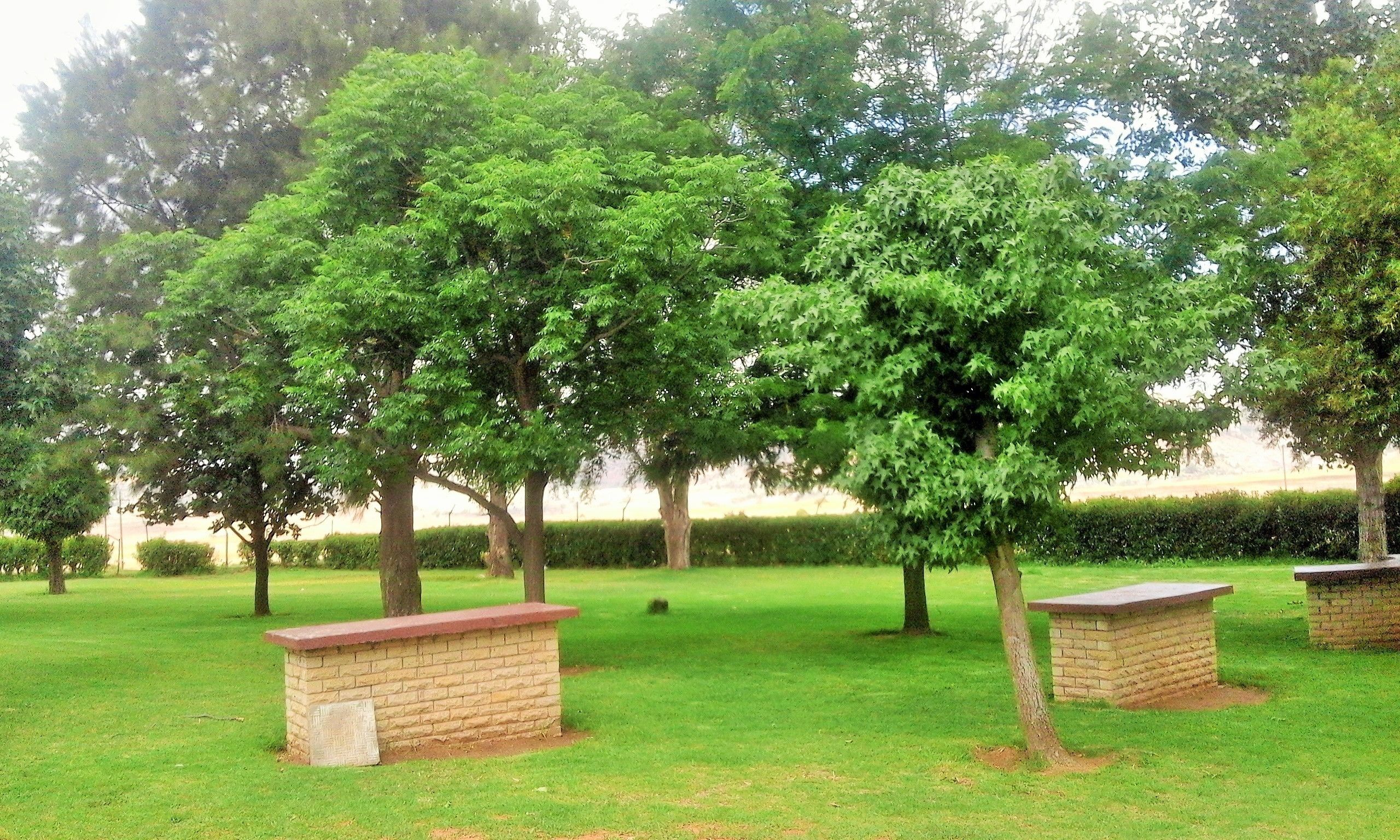 A park with several trees and stone benches.