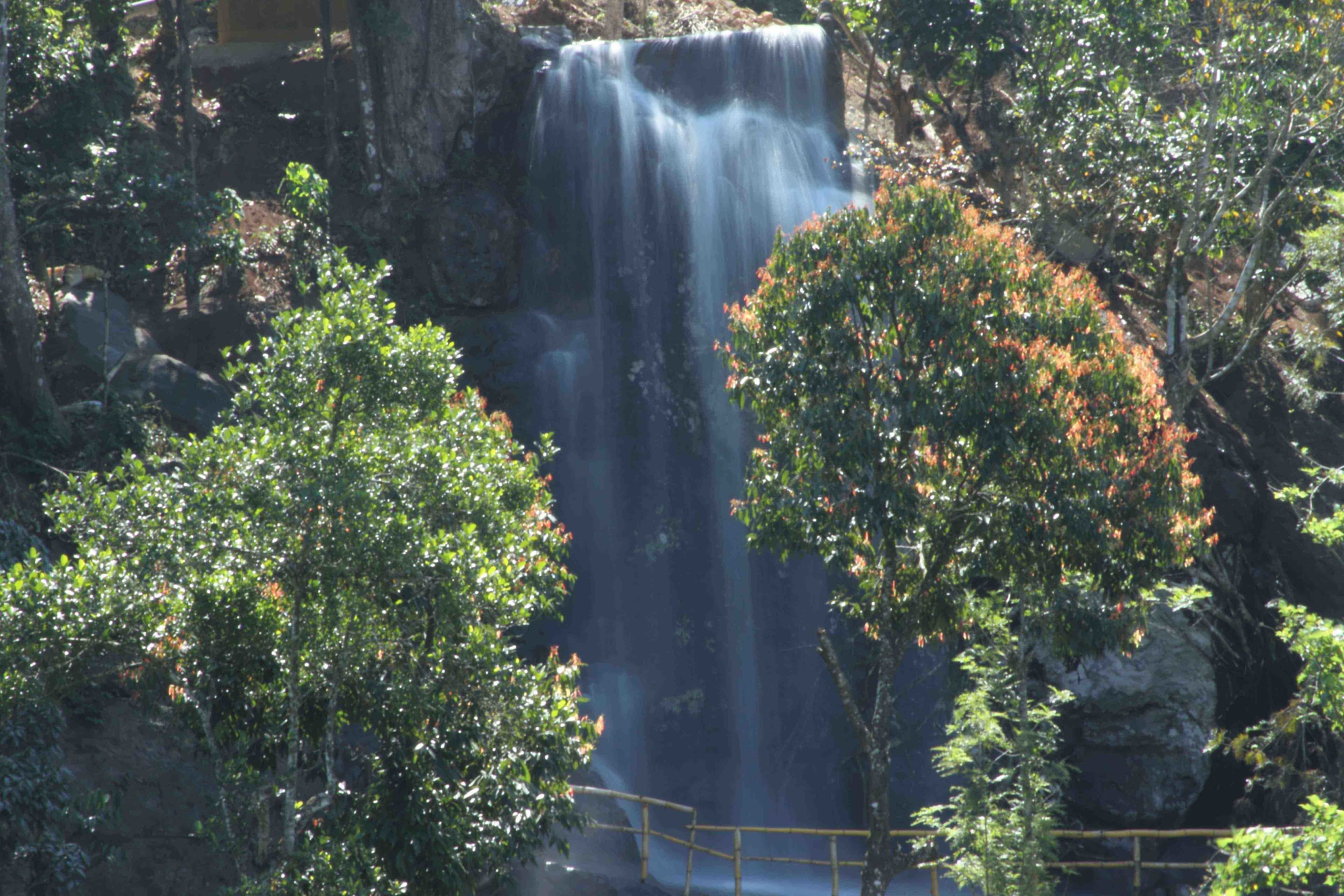 Una cascada rodeada de árboles y una cerca de madera.