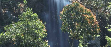 A waterfall surrounded by trees and a wooden fence.