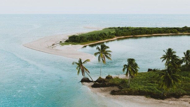 An aerial view of a tropical beach with clear turquoise waters, sandy shores, and palm trees. - Pousada do Enildo (São Miguel dos Milagres)