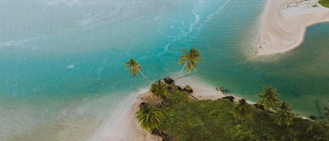 An aerial view of a beach with clear turquoise waters, sandy shores, and scattered palm trees.