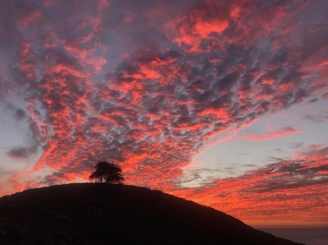 A silhouette of a hill with a single tree against a sunset sky.