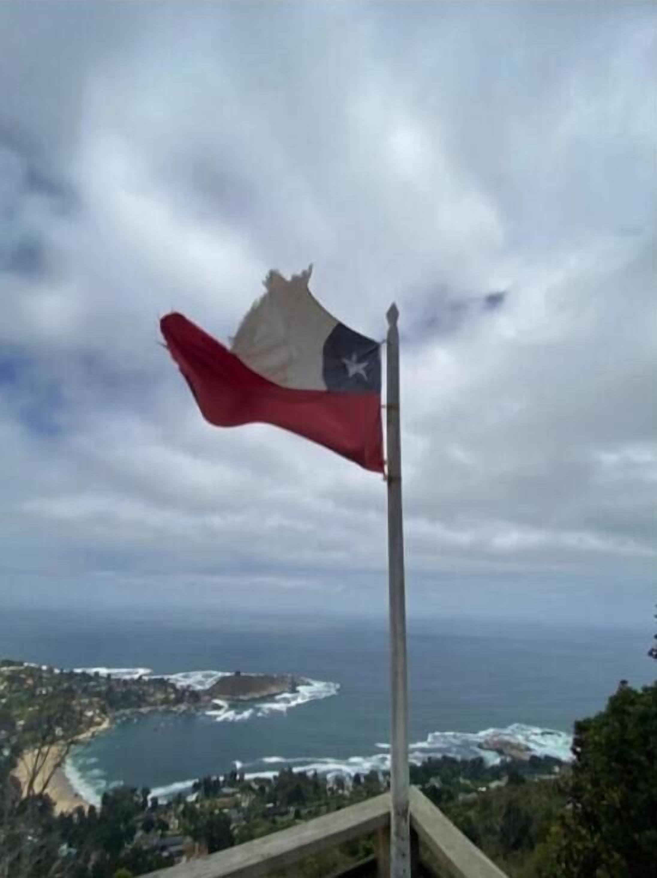 A flag on a pole with a coastal landscape in the background.