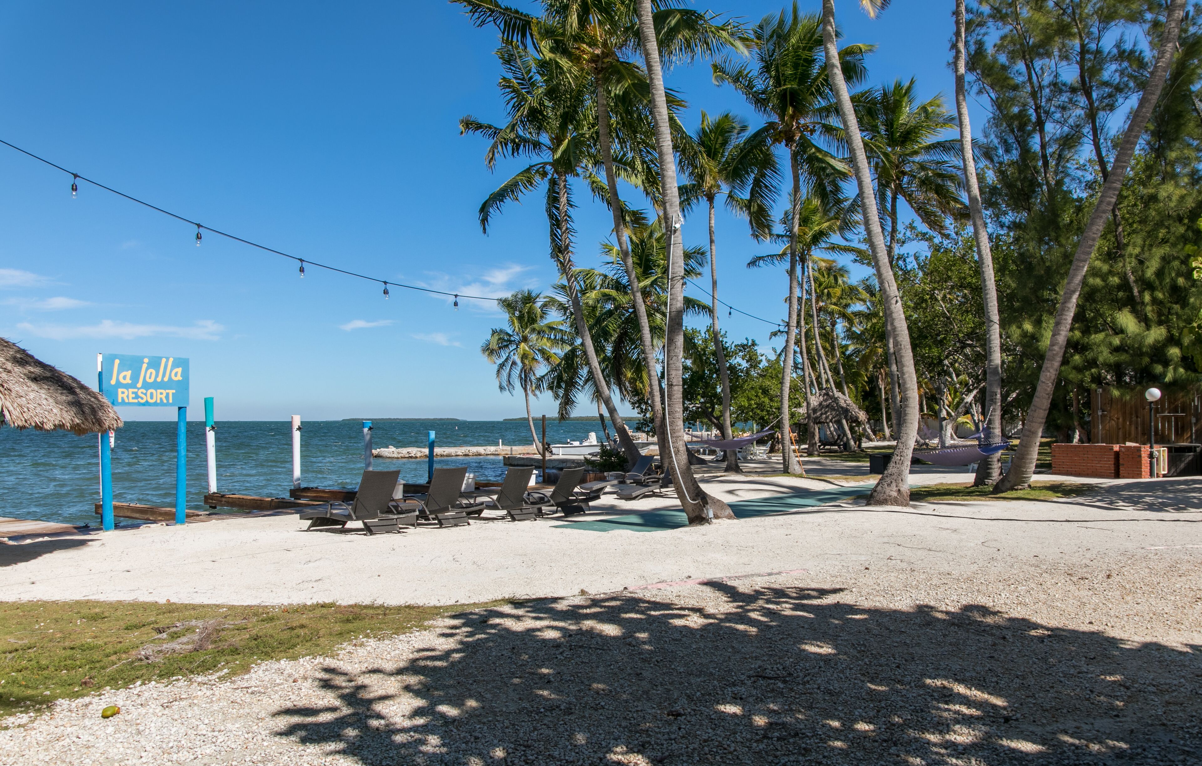 A beach with palm trees, a sign for La Jolla Resort, and lounge chairs along the shore.