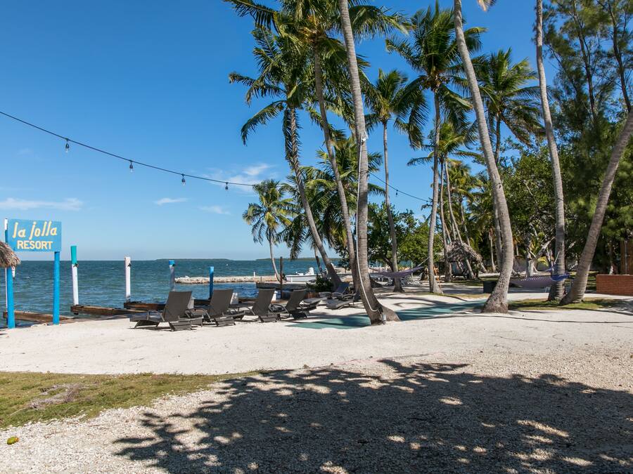 A beach with palm trees, a sign for La Jolla Resort, and lounge chairs along the shore.