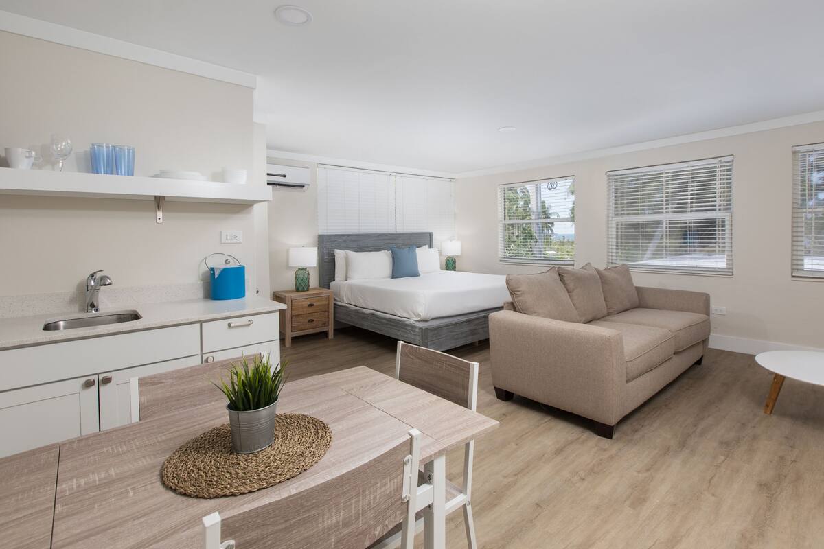 A modern, well-lit room with a kitchenette, a dining area, a bed, and a sofa.