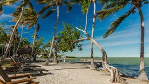 A beach with wooden lounge chairs, palm trees, and a clear view of the ocean. - La Jolla Resort (Islamorada)