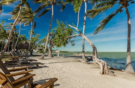 Private beach, fishing