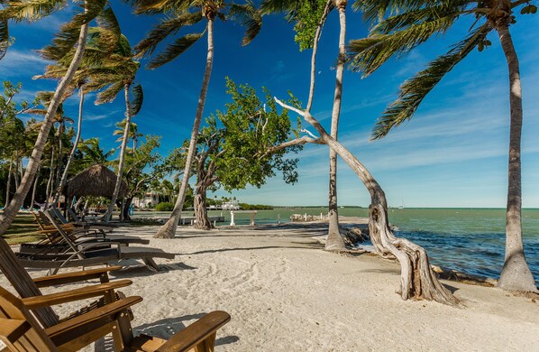 Playa privada y pesca 