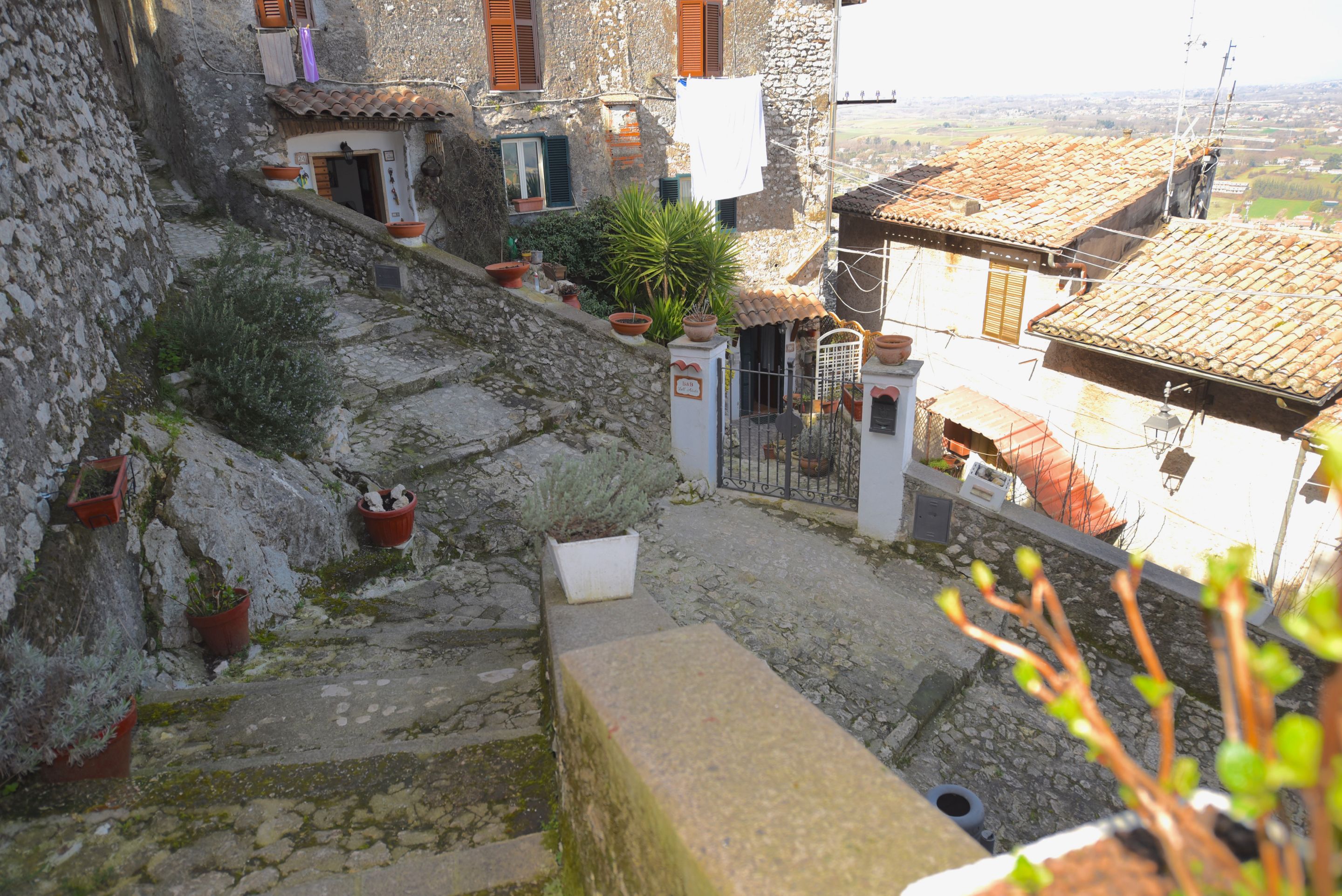 Vista desde la propiedad