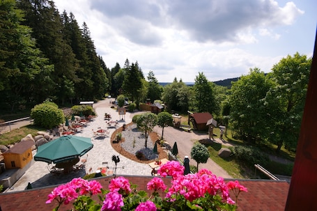 Vista desde la habitación