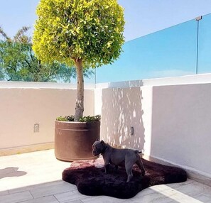 Terrace/patio - Hotel Soleil Business Class (León)