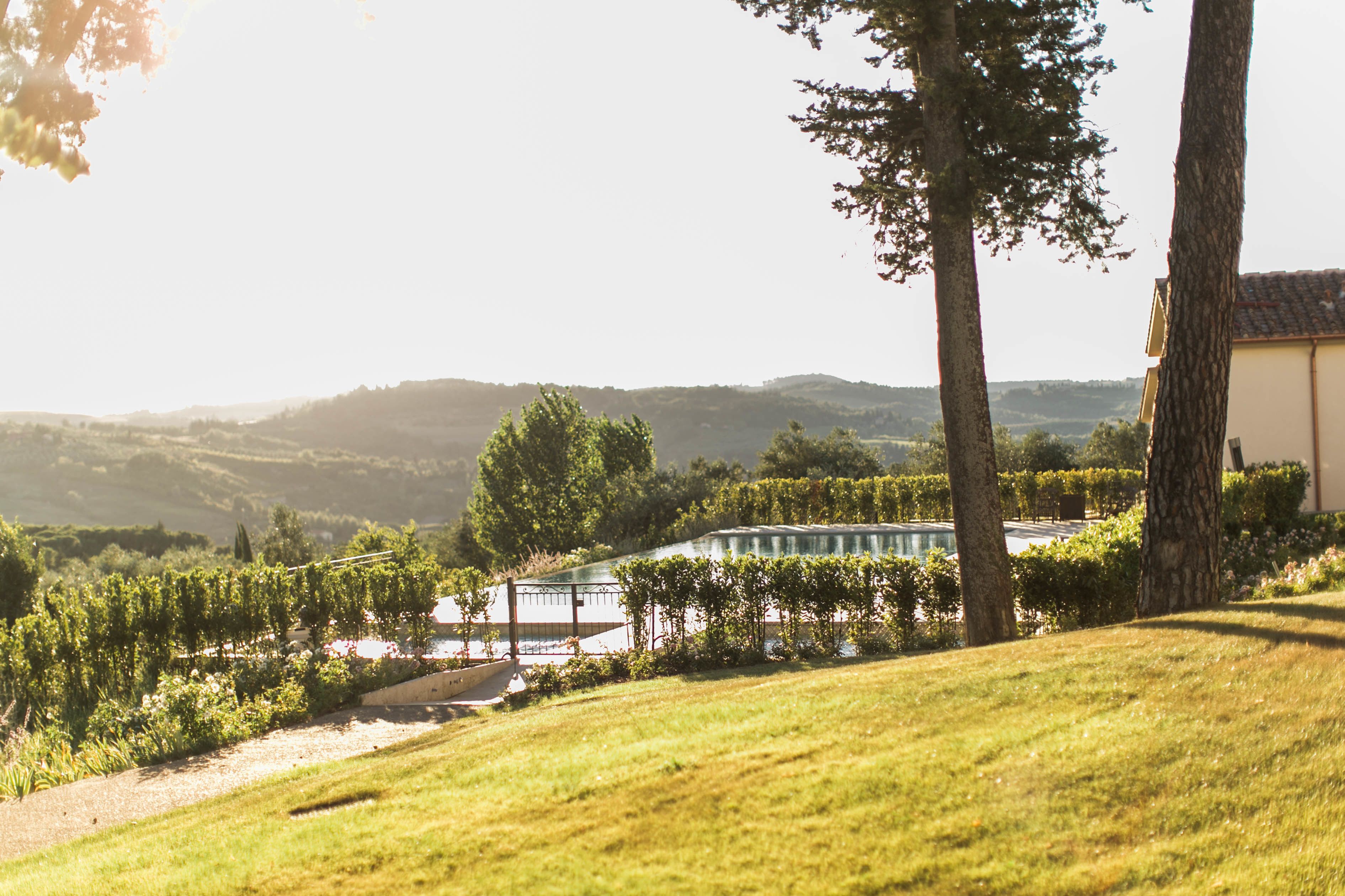 A vineyard with rows of grapevines and a building with a tiled roof in the background.