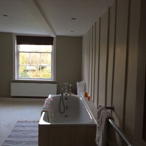 Combined shower/bathtub, free toiletries, hair dryer