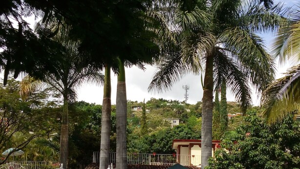 A lush garden with palm trees, a patio area with outdoor seating, and a building with a red roof in the background. - Villa Paraiso (Emiliano Zapata)