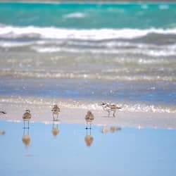 Am Strand, Liegestühle, Sonnenschirme, Strandtücher