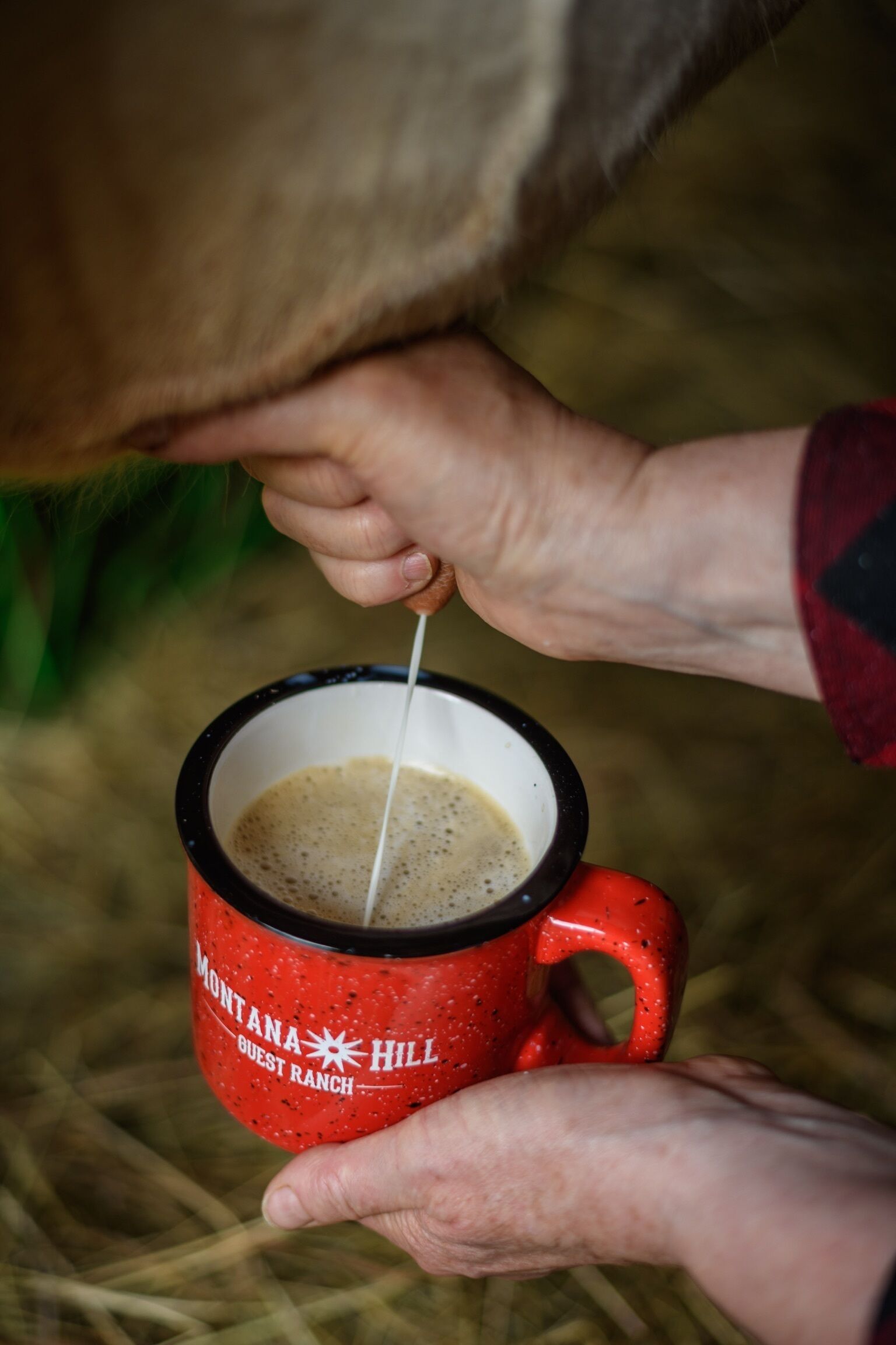 Une personne tenant une tasse rouge sur laquelle est inscrit « Montana Hill Guest Ranch ».